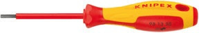 Knipex Tournevis pour vis à six pans creux (98 13 25)