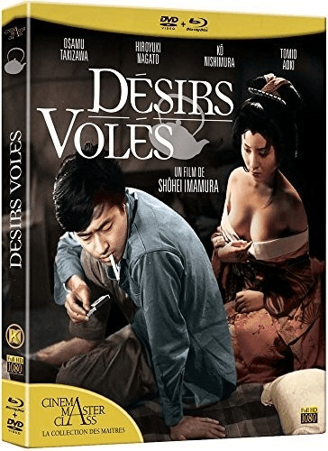 Désirs volés (DVD + BLU-RAY) [Combo Blu-ray + DVD]