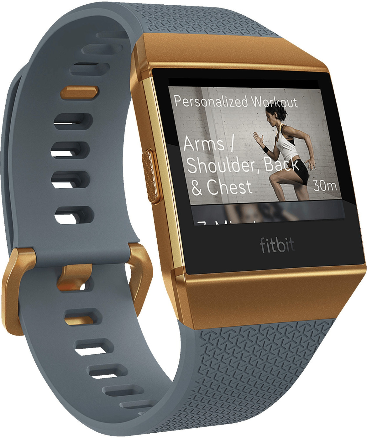 fitbit ionic slate