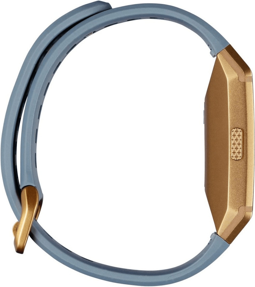 fitbit ionic slate