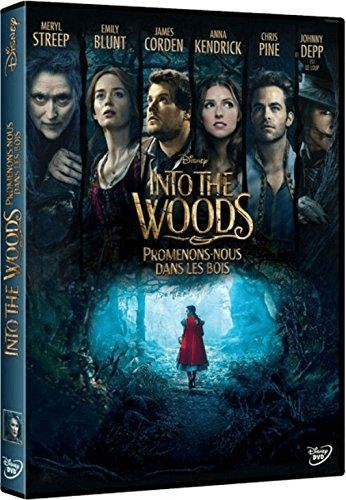 Into the Woods : Promenons-nous dans les bois [DVD]
