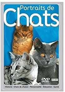 portraits de chats (dvd)
