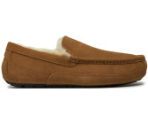 Ugg ascot sales homme