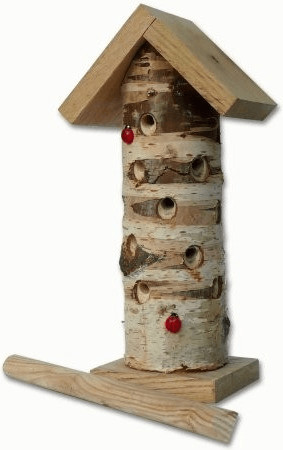 Wildlife World Tour de coccinelles