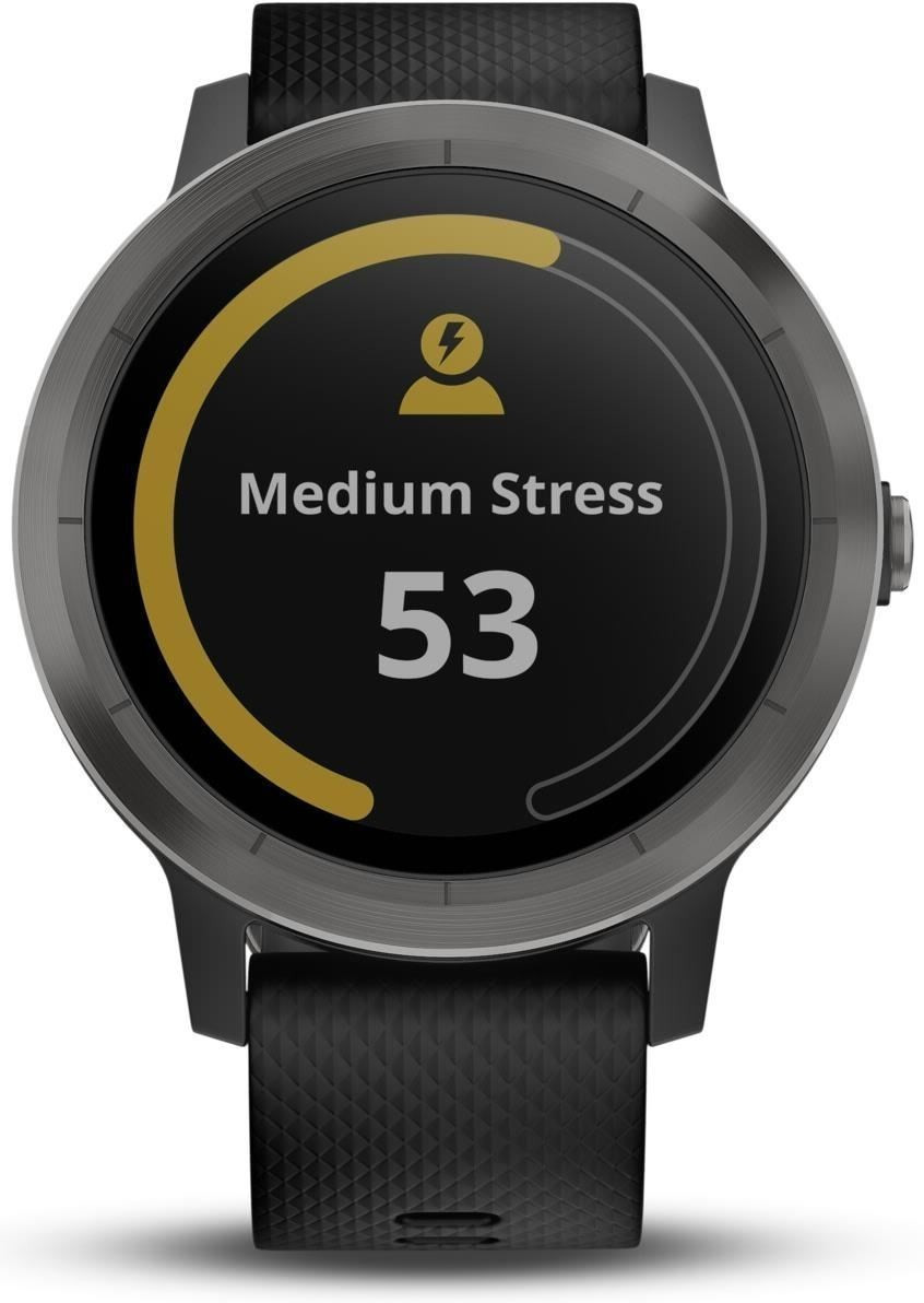 garmin vívoactive 3 slate