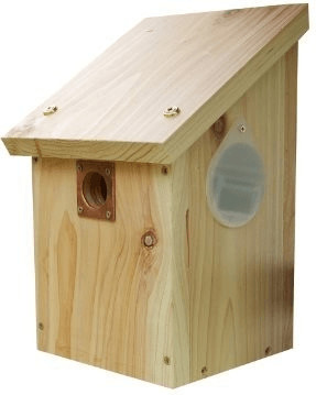 Wildlife World Nichoir pour caméra (CRNB)