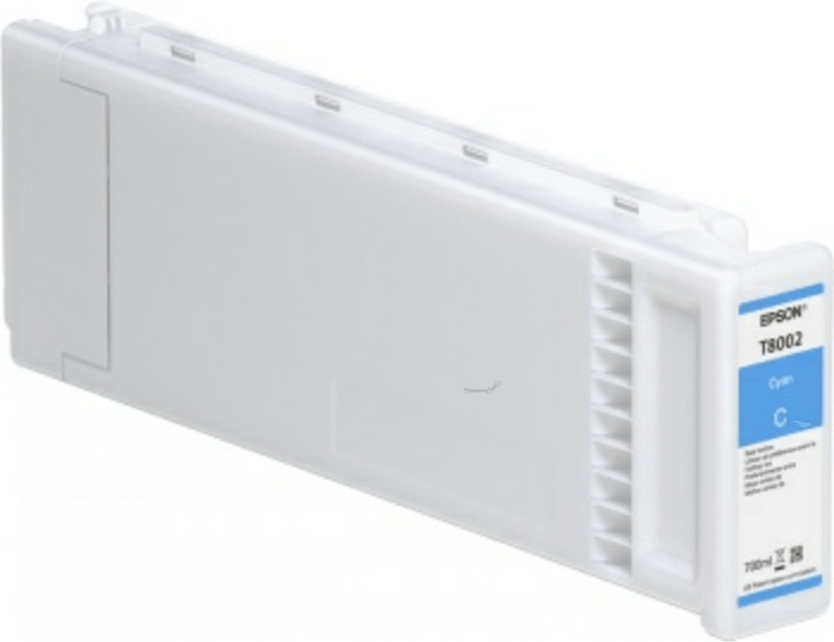 Epson C13T890200
