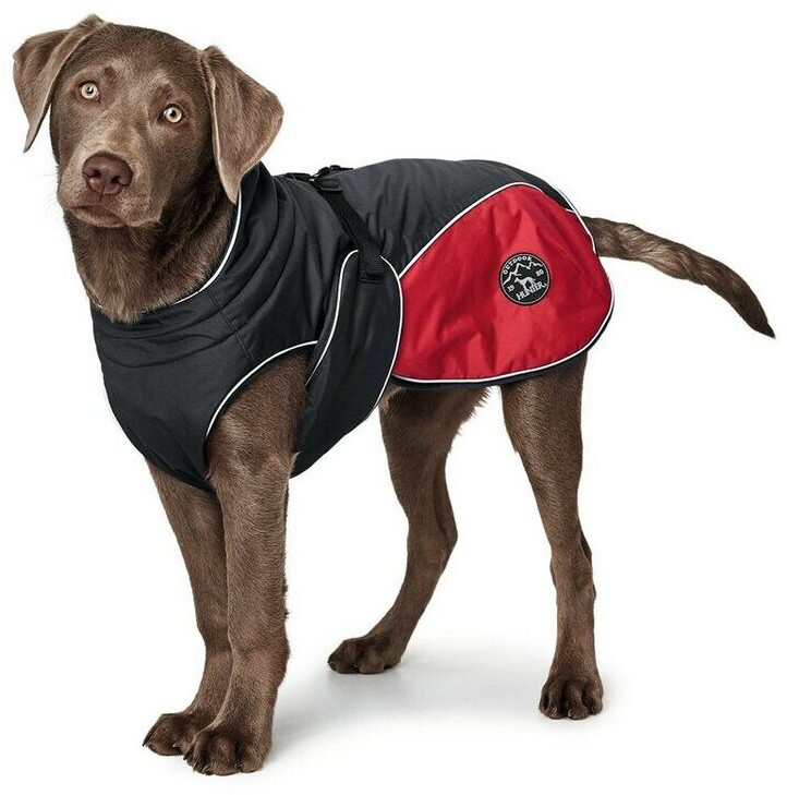 HUNTER Manteau pour chien 25cm Anthrazite/Red HUNTER Manteau pour chien 25cm Anthrazite/Red