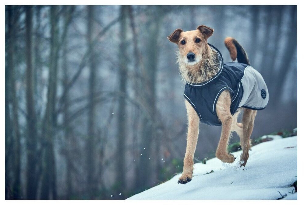 HUNTER Manteau pour chien 35cm Grey HUNTER Manteau pour chien 35cm Grey