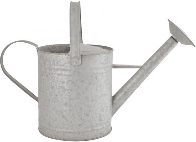Esschert Arrosoir vieux zinc 8,7 L