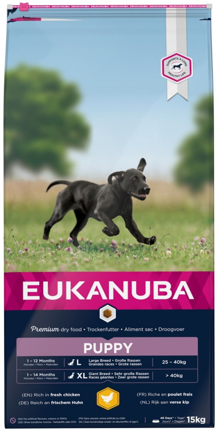 Eukanuba Puppy Large Breed pour chiot