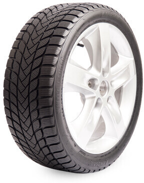Landsail Winter Lander 205/50 R17 93H