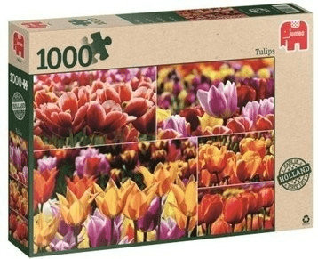 Jumbo Tulipes hollandaises