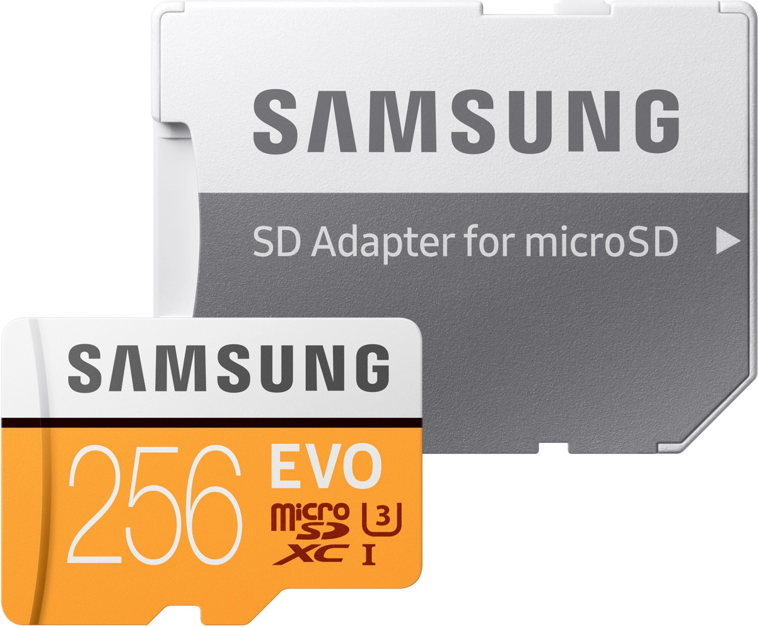 Samsung EVO (2017) microSDXC 256Go (MB-MP256GA)