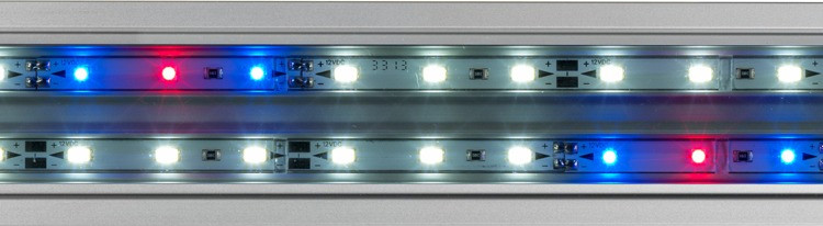 Eheim powerLED plants