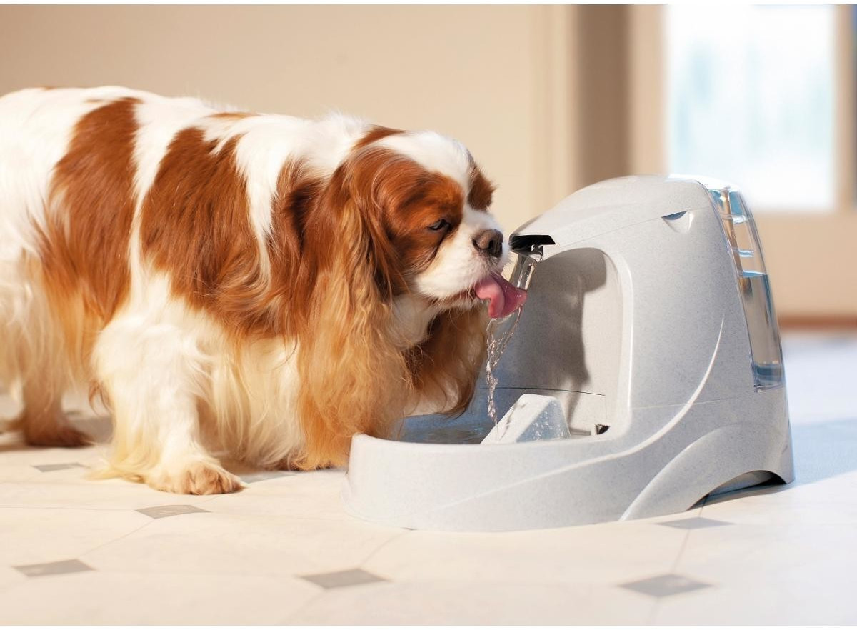 Cat Mate Fontaine à eau pour chien et chat 