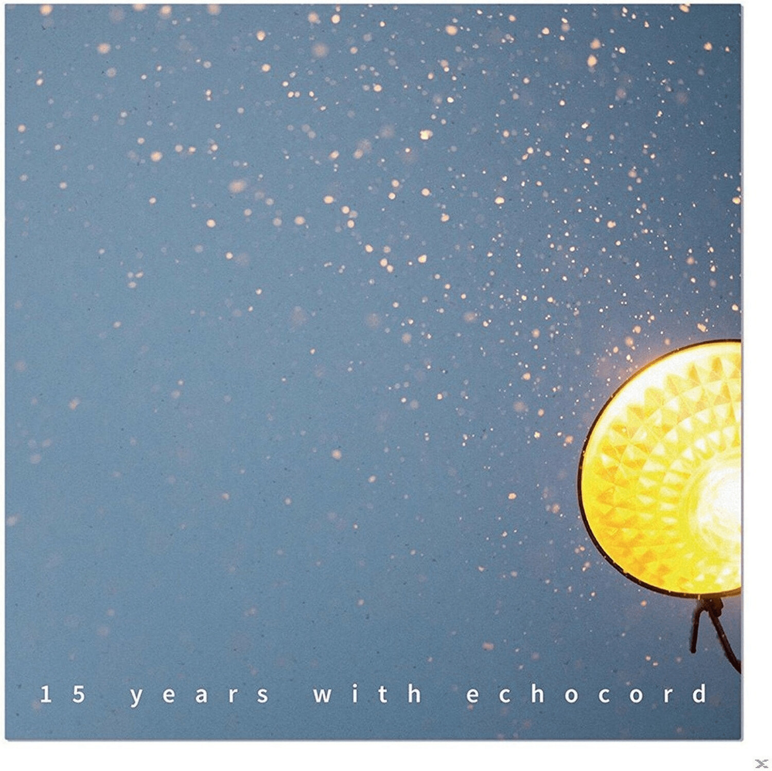 VARIOUS - 15 Years With Echocord (2LP) - (Vinyl)