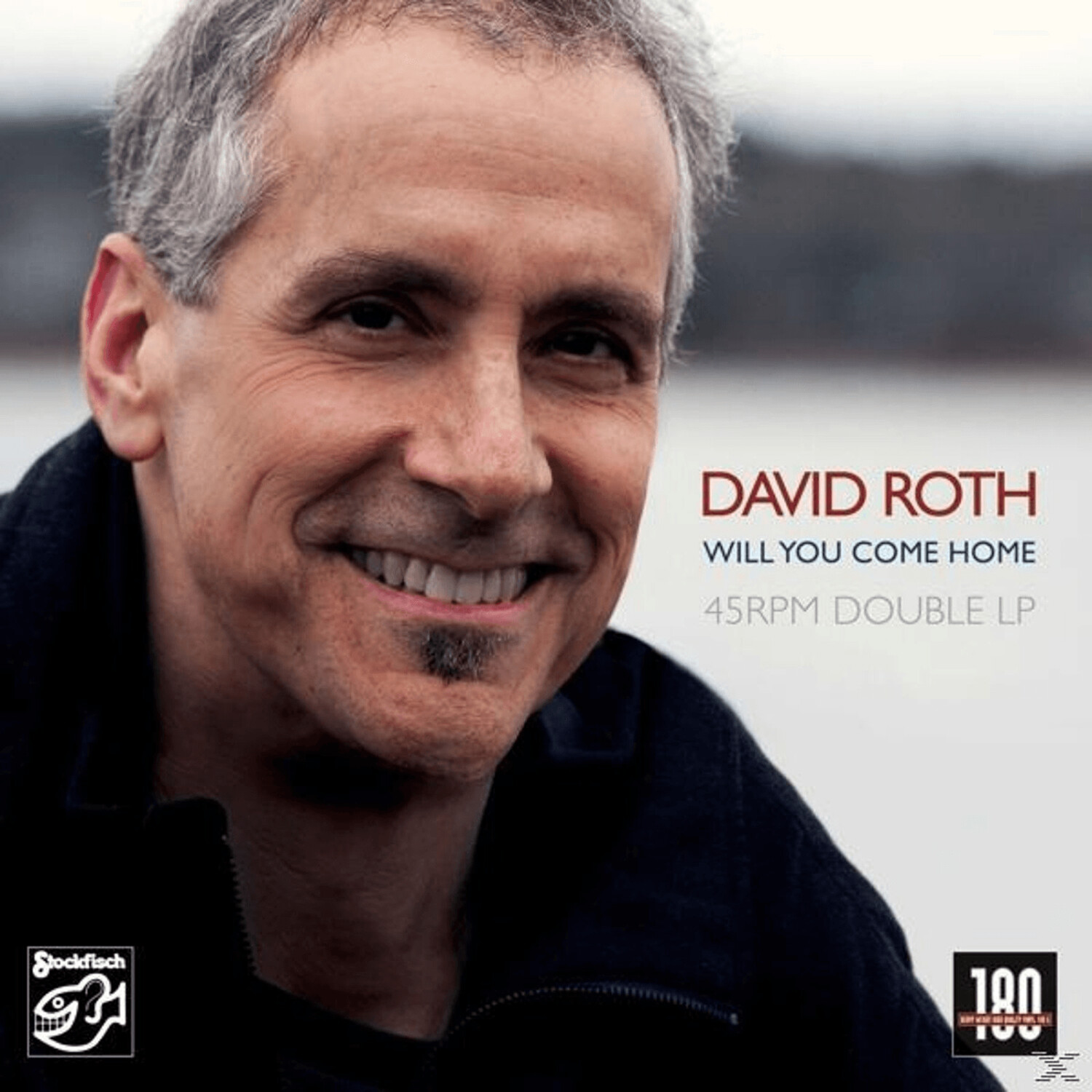 David Roth - Will You Come Home (2 Lp) - (Vinyl)