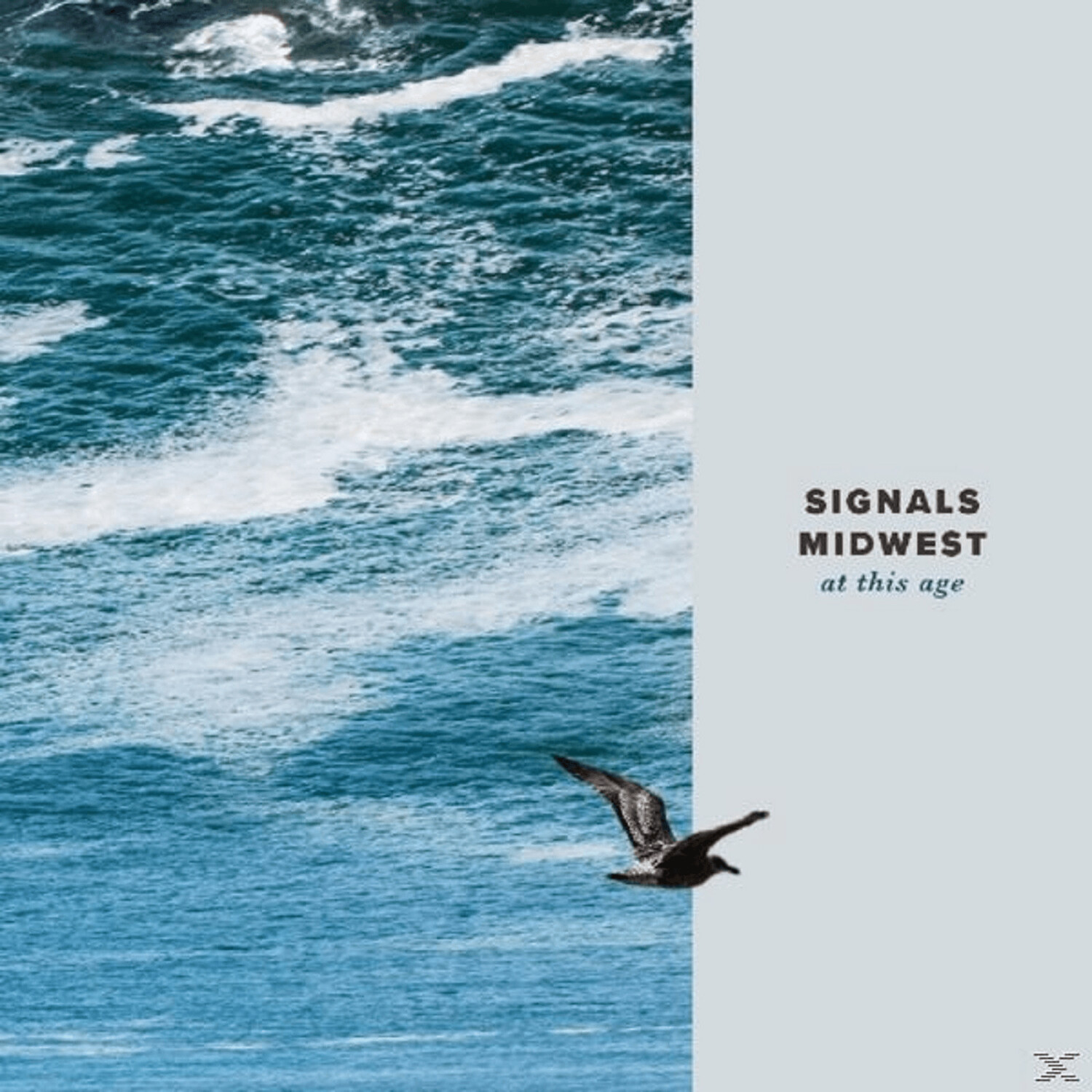 Signals Midwest - At This Age - (LP + Download)
