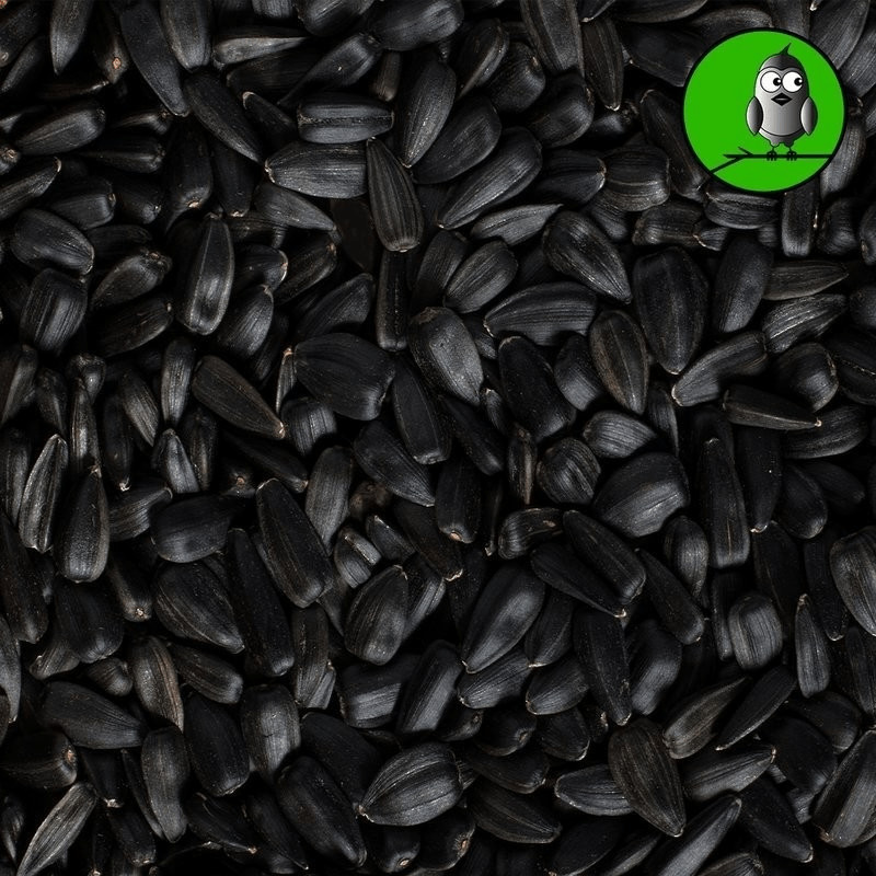 Vogelfood Sonnenblumenkerne schwarz 25kg (2030) ab 29,78