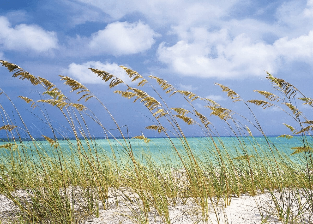 Komar Ocean Breeze 368 x 254 cm