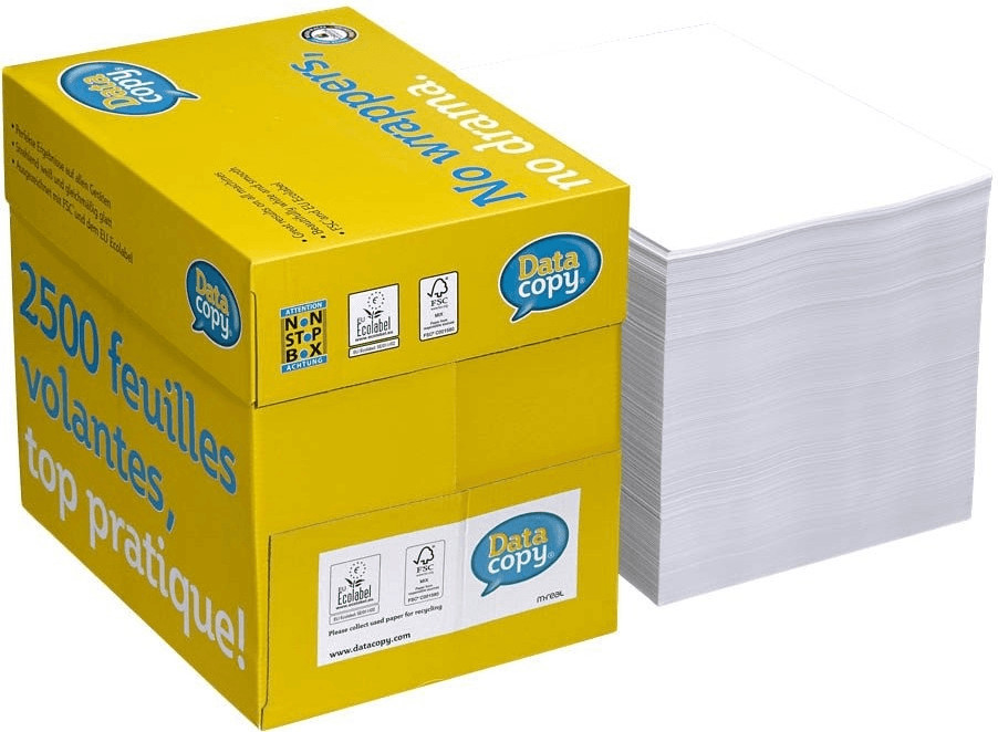 DataCopy Everyday Printing (521830)