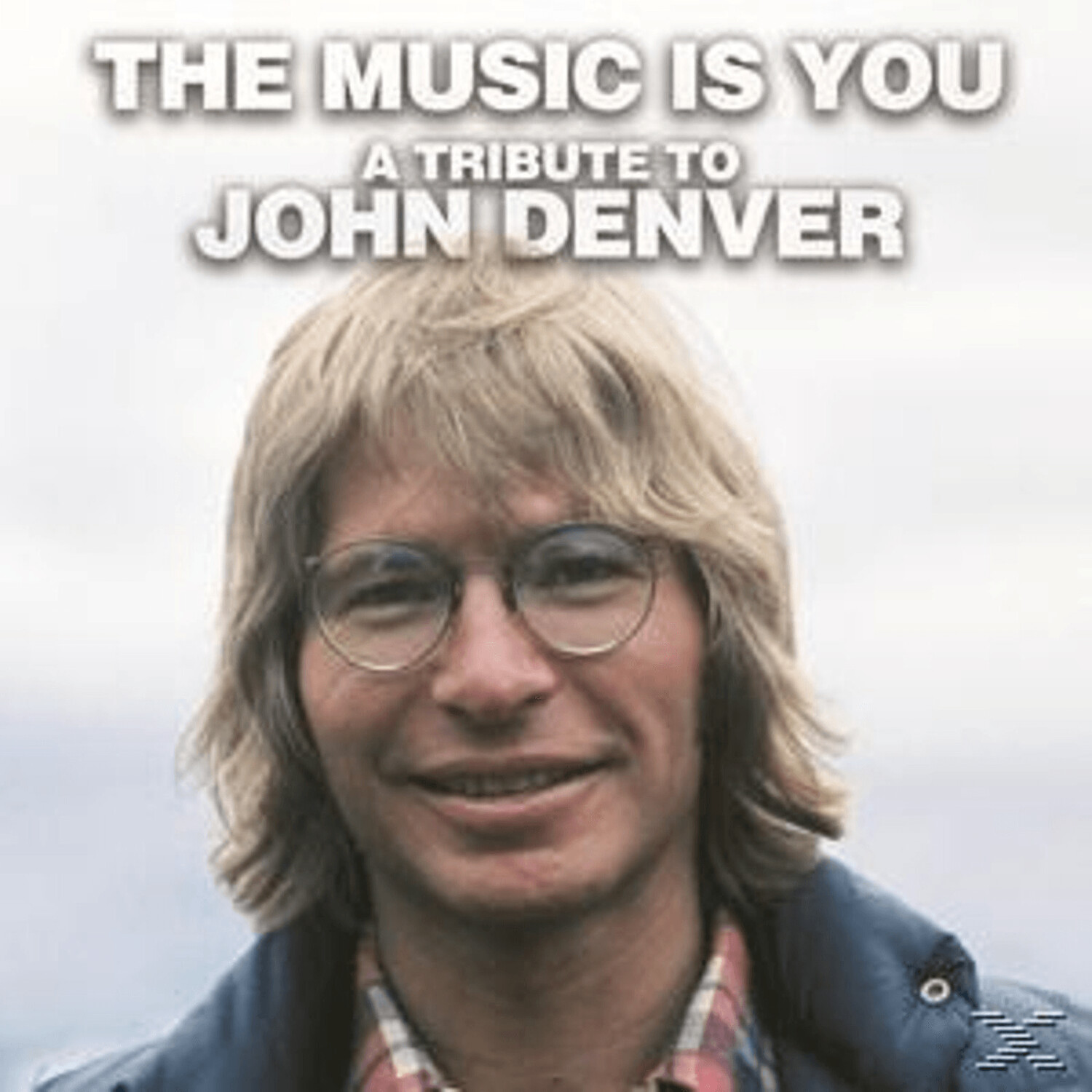 Various/The Music Is You - A Tribute To John Denver - (Vinyl)