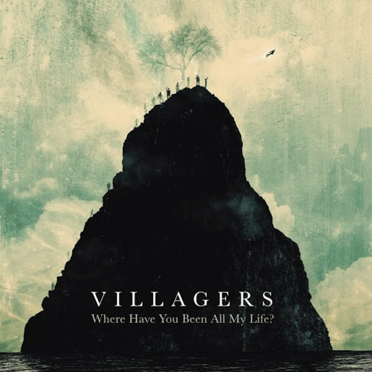 The Villagers - Where Have You Been All My Life (Lp+Mp3) (LP)