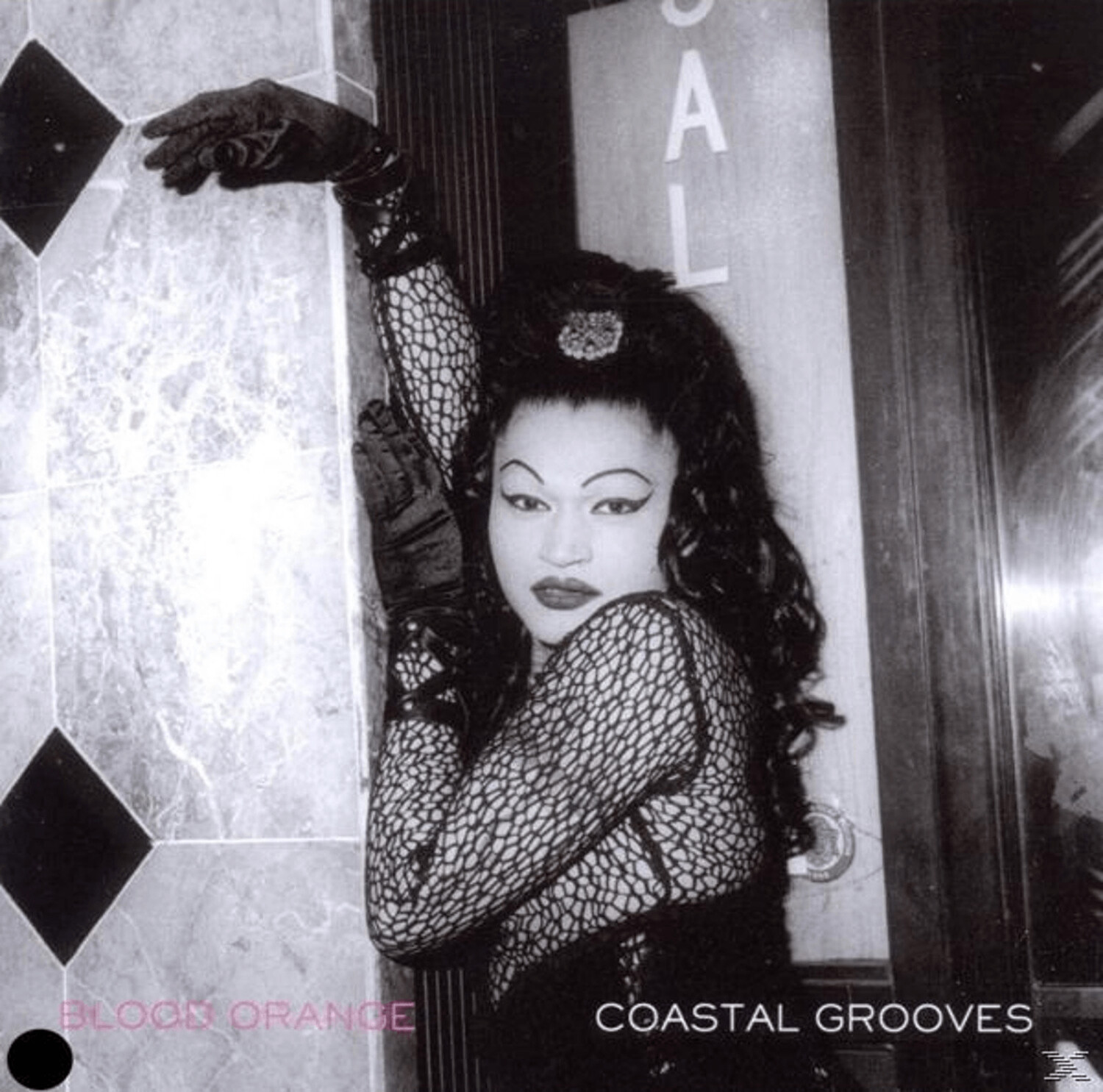Blood Orange - Coastal Grooves (Vinyl+Mp3) - (Vinyl)
