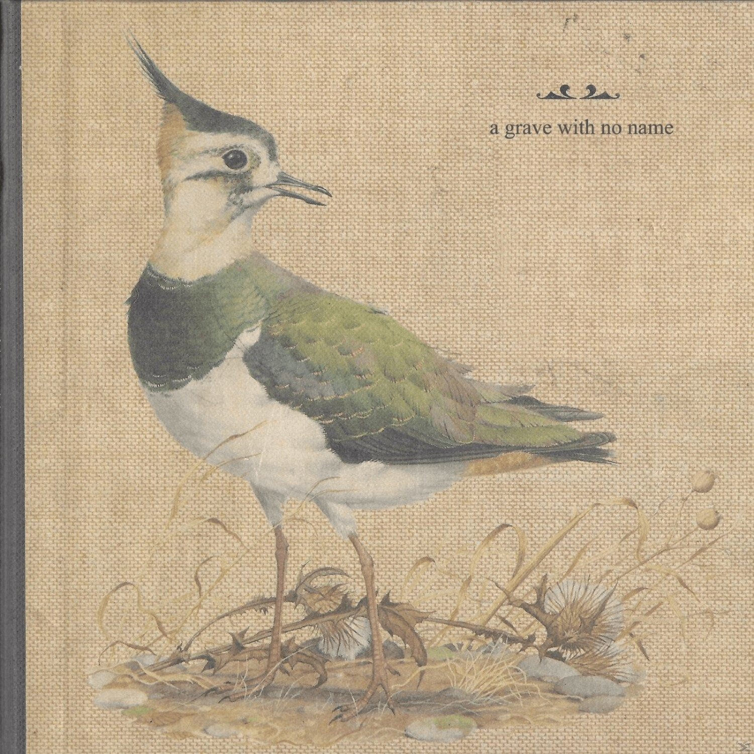 A Grave With No Name - Feathers Wet, Under The Moon - (Vinyl)