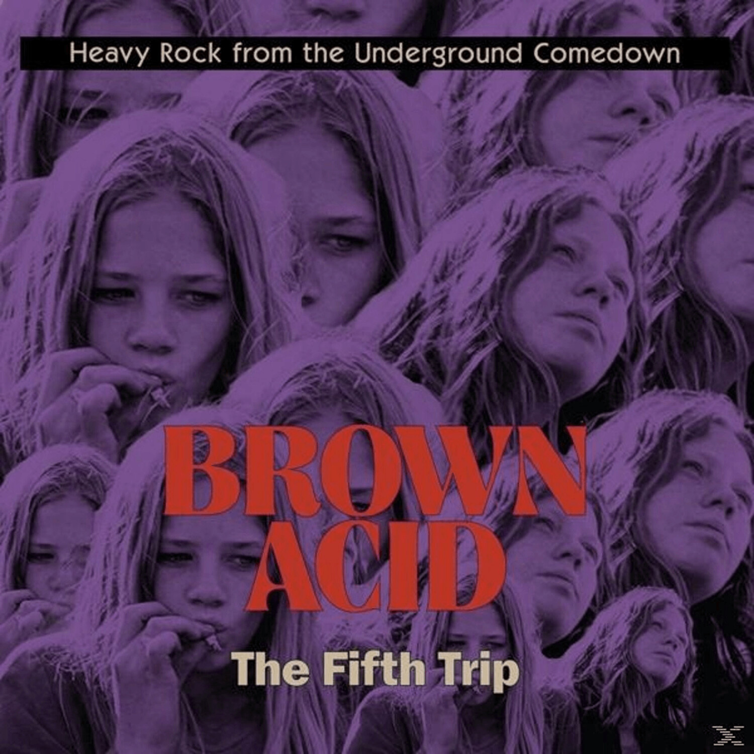 VARIOUS - Brown Acid: The Fifth Trip - (Vinyl)