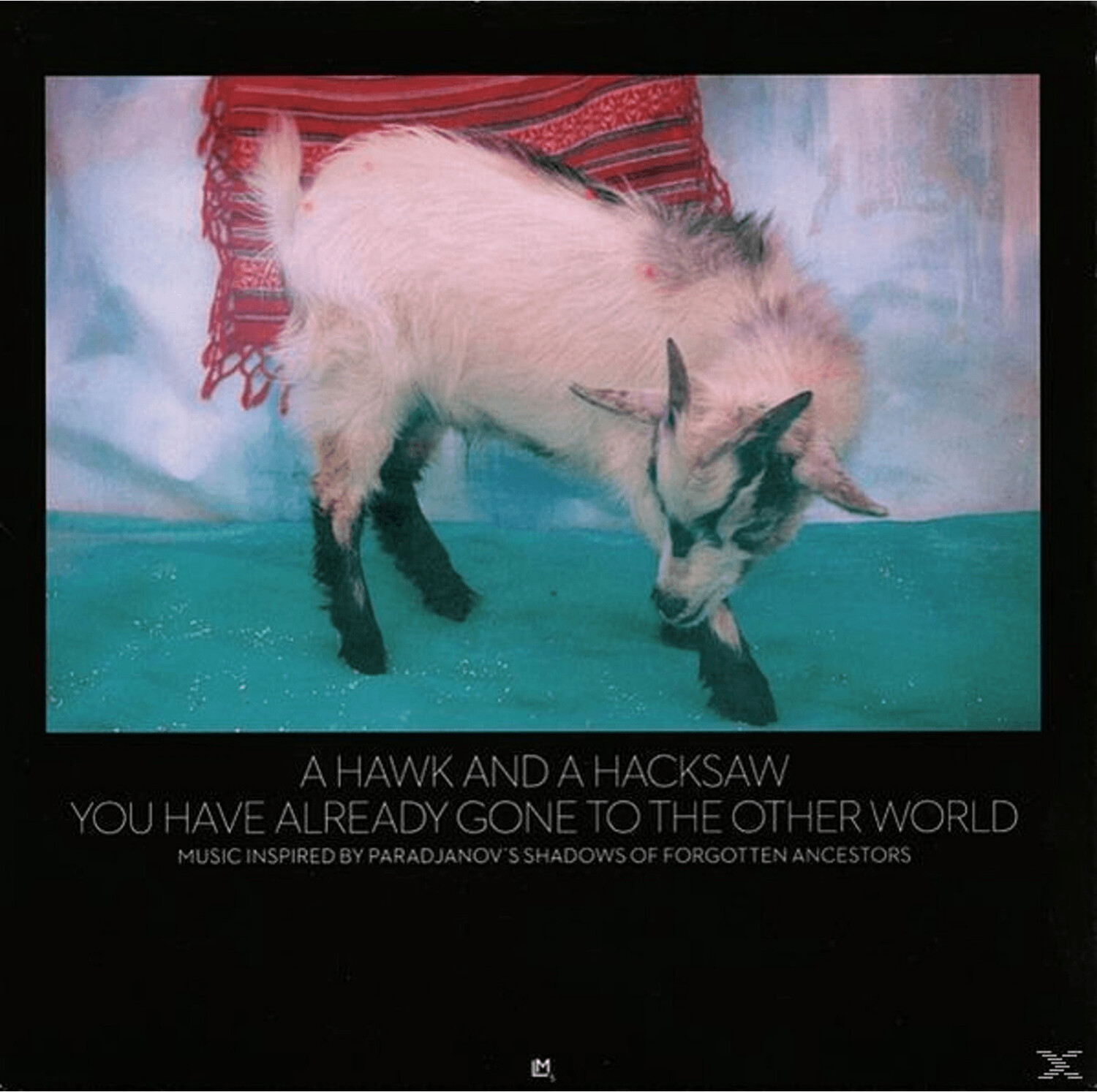 A Hawk And A Hacksaw - You Have Already Gone To The Other World - (Vinyl)