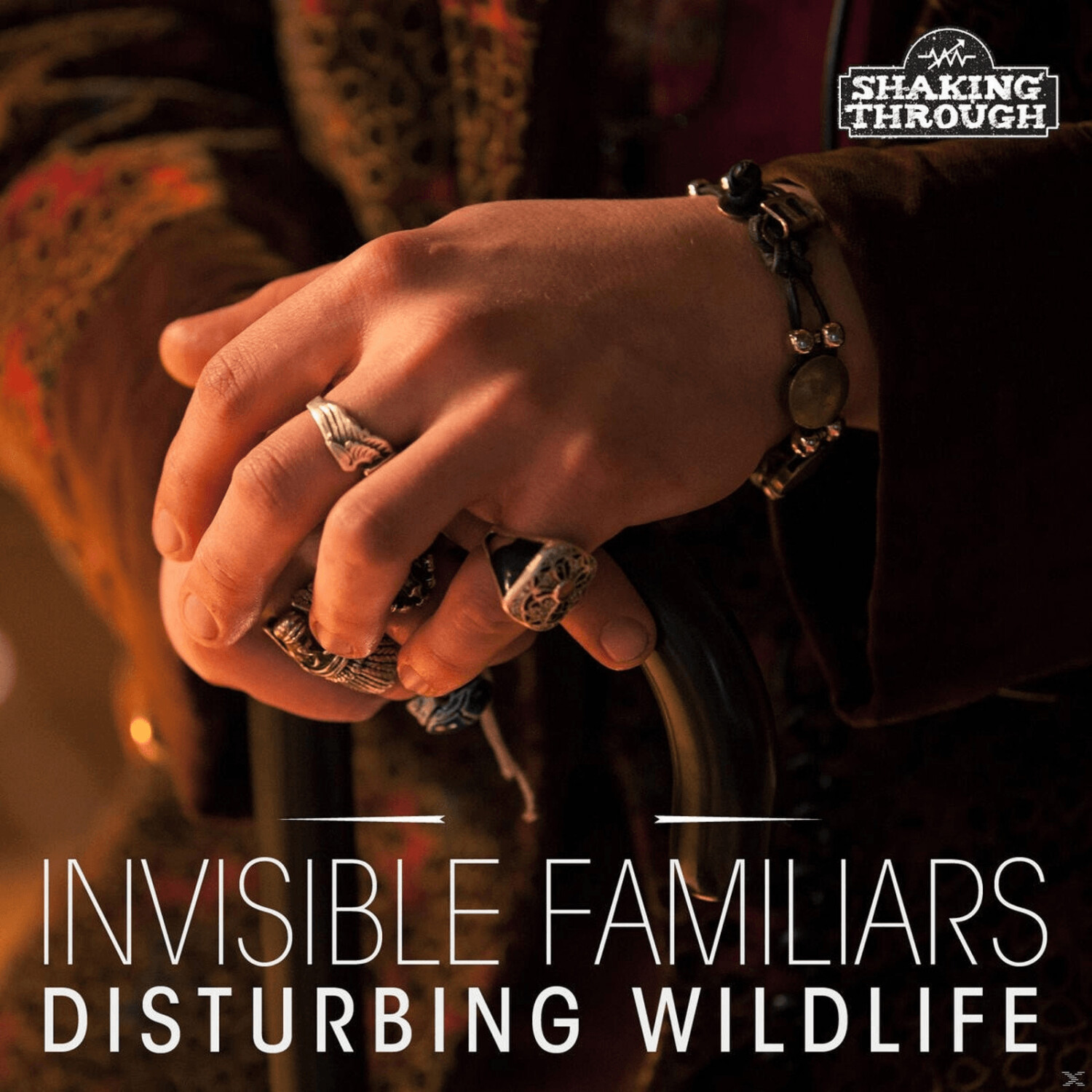 Invisible Familiars - Disturbing Wildlife - (Vinyl)