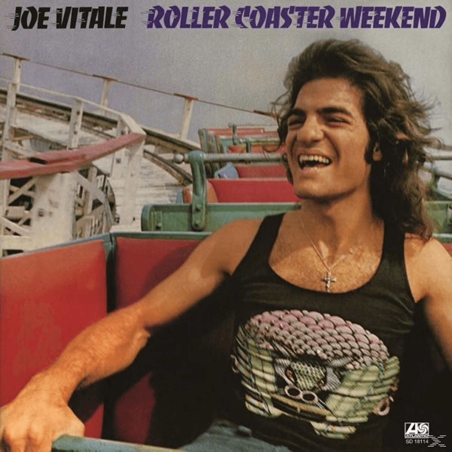 Joe Vitale - Roller Coaster Weekend - (Vinyl)