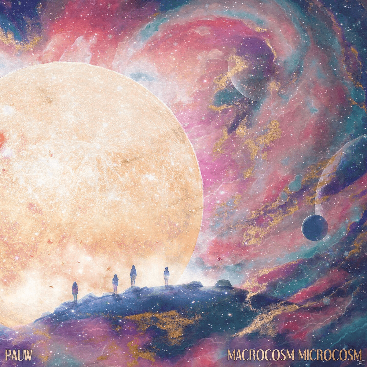 Pauw - Macrocosm Microcosm - (Vinyl)