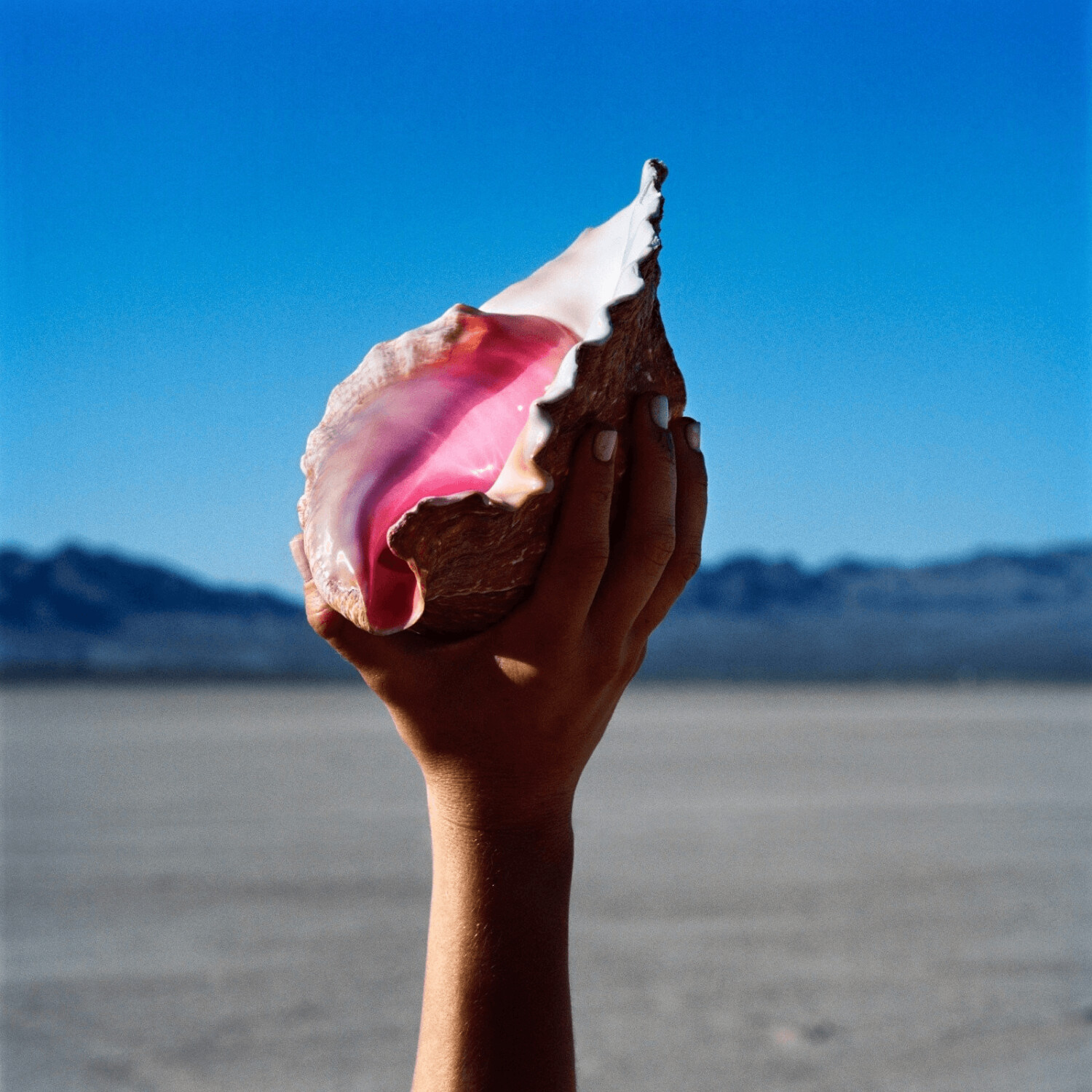 The Killers - Wonderful Wonderful - (Vinyl)