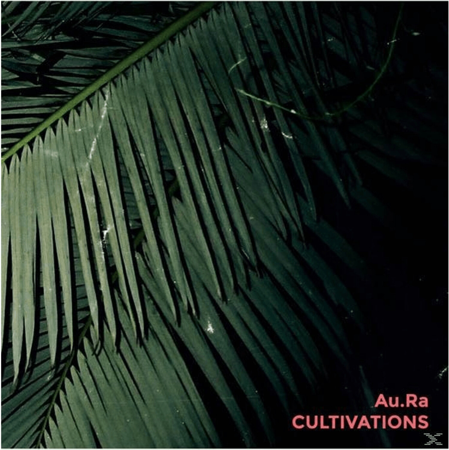 Aura - CULTIVATIONS - (Vinyl)
