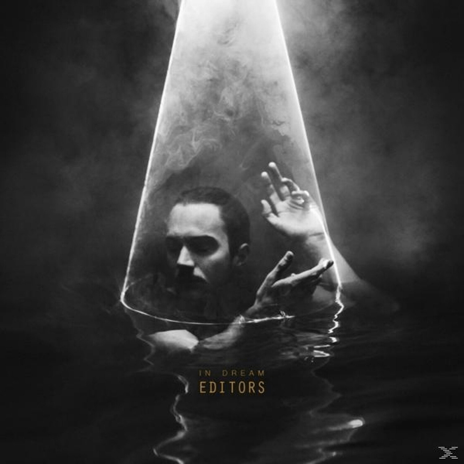 Editors - In Dream - (Vinyl)