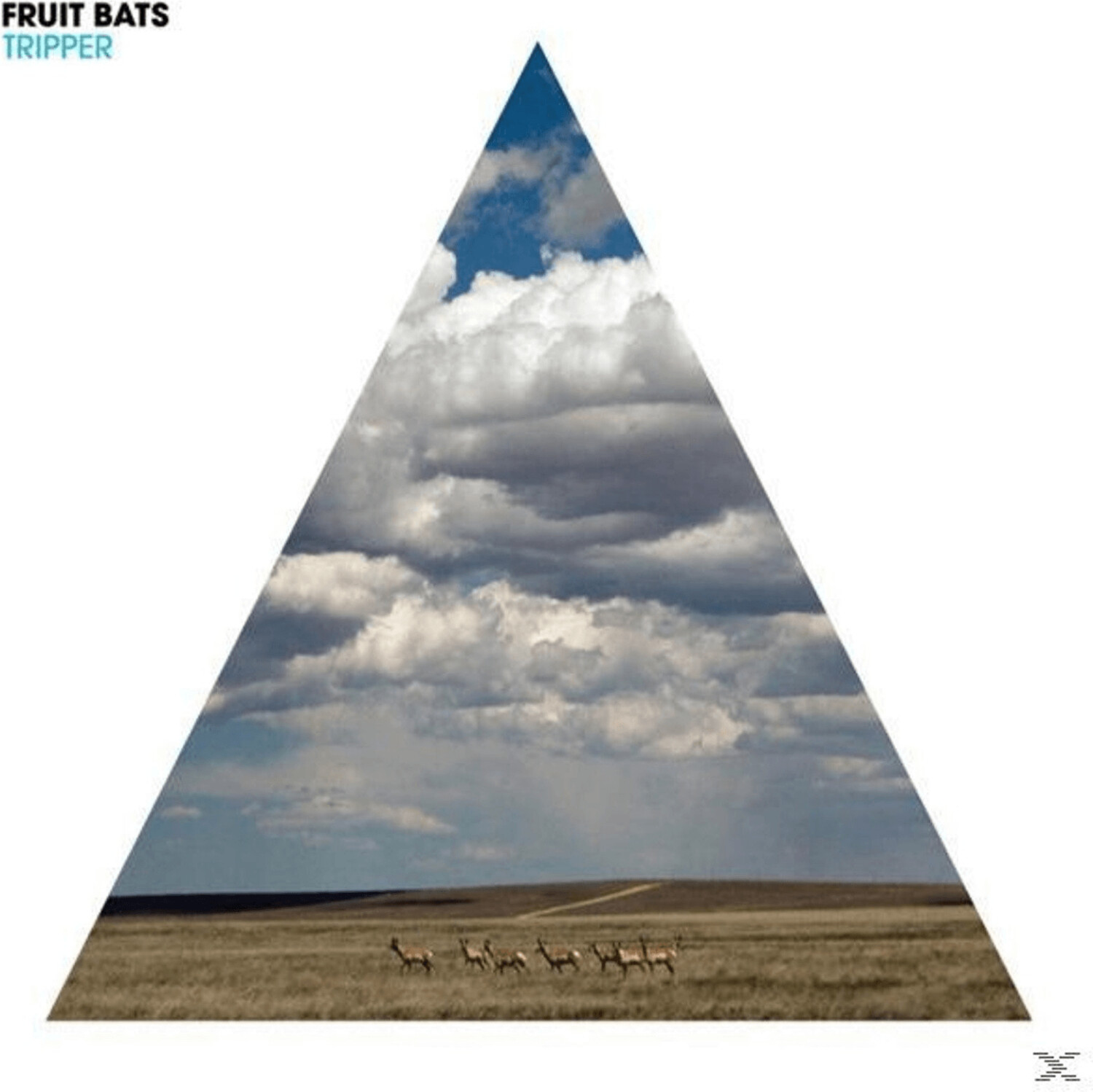 Fruit Bats - Tripper - (Vinyl)