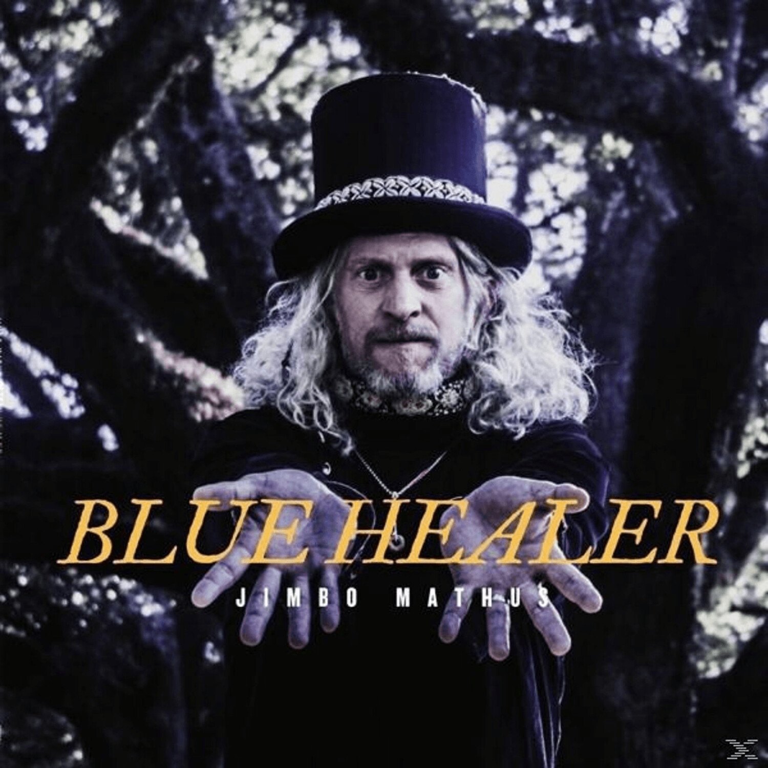 Jimbo Mathus - Blue Healer - (Vinyl)