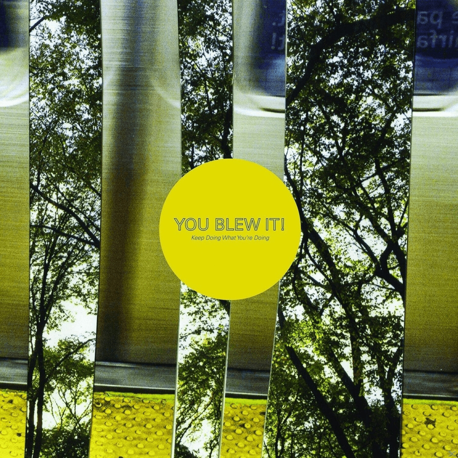 You Blew It - Keep Doing What You're Doing - (Vinyl)