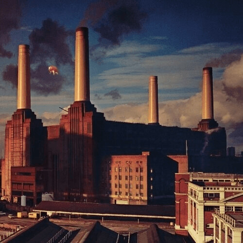Pink Floyd - Animals (2016 Edition) (Vinyl)