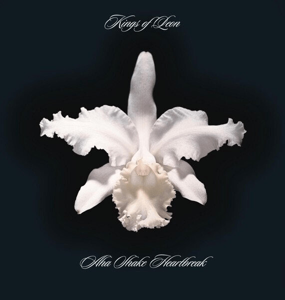 Kings Of Leon - Aha Shake Heartbreak (Reissue) (Vinyl)