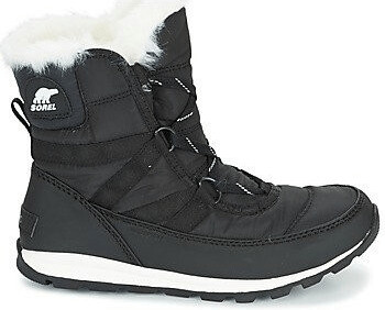 whitney short sorel