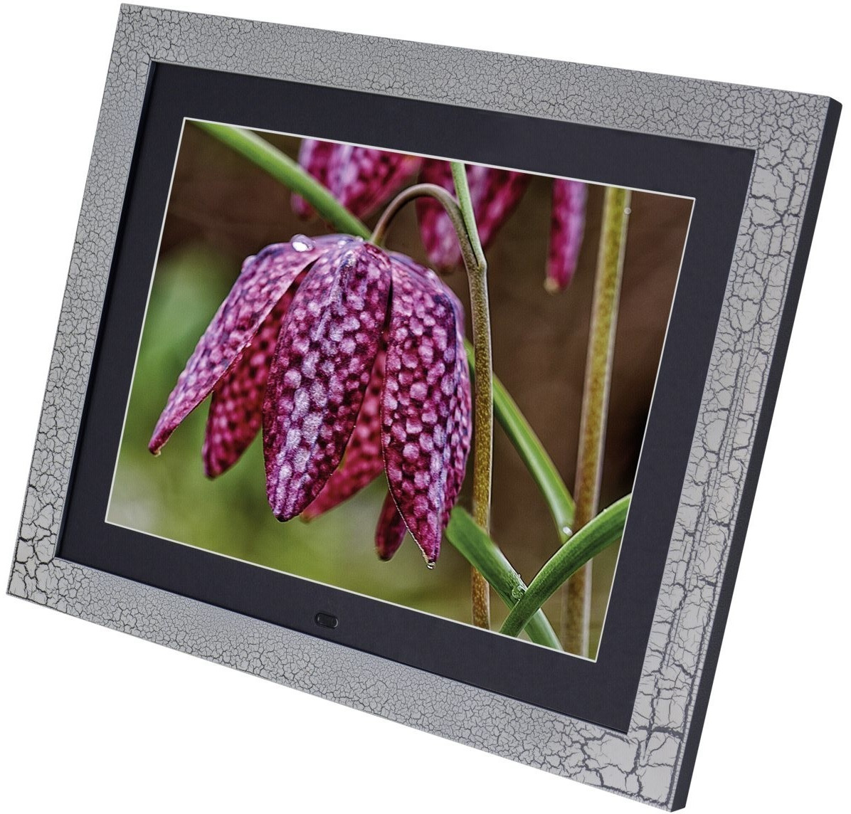 Braun Photo Technik DigiFrame 15 Vintage black & white