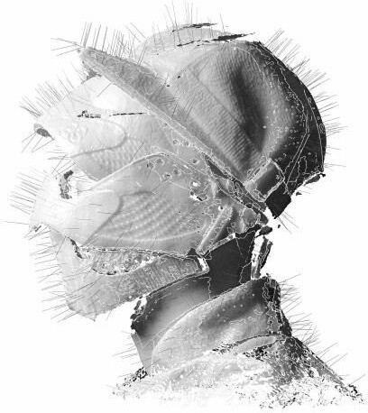 Woodkid - The Golden Age (Vinyl)