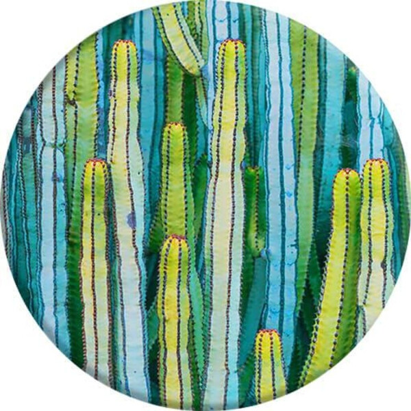 PopSockets Grip & Stand cactus patch