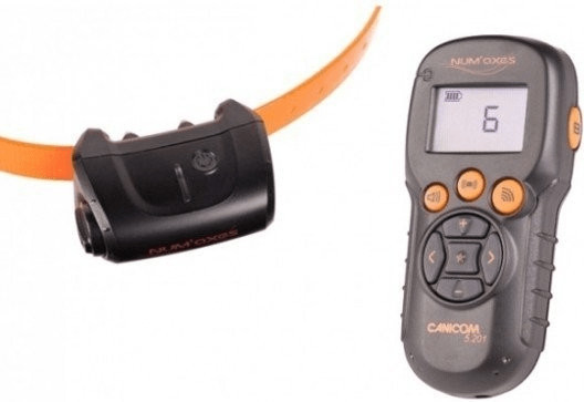Num'axes Collier de dressage Canicom 5.201
