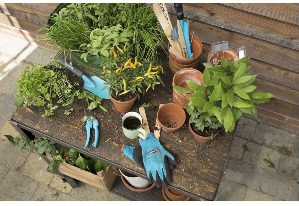 Kit jardinage de Gardena : kit pour jardinage 4 pièces pour l'entretien du  jardin, cisailles universelles, transplantoir robuste, couteau désherbeur