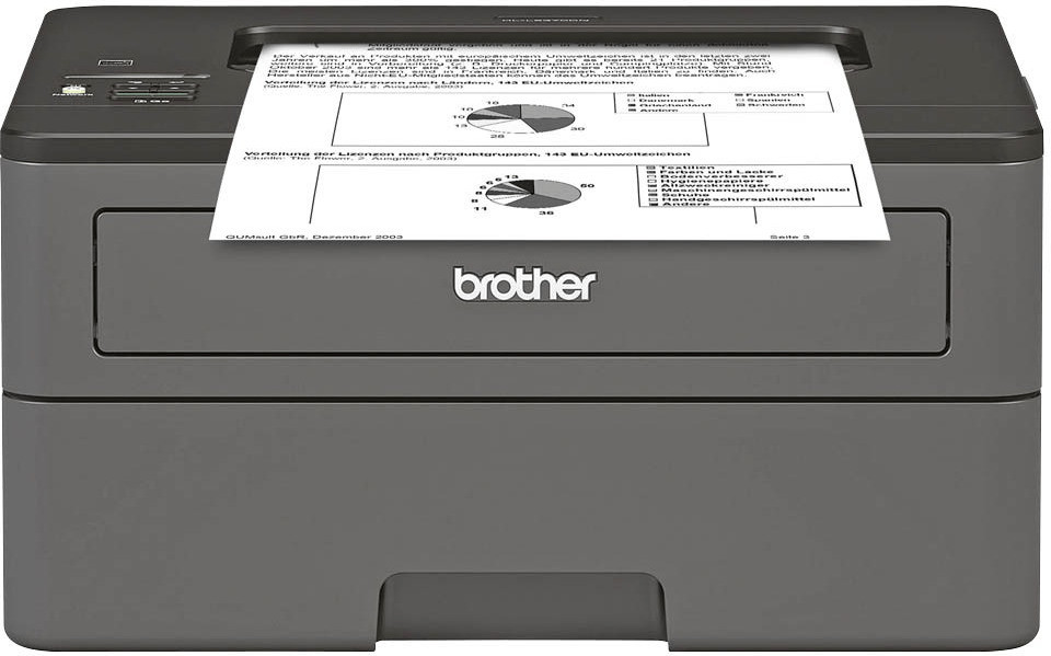 Brother imprimante laser noir-blanc compacte HL-L2370DN